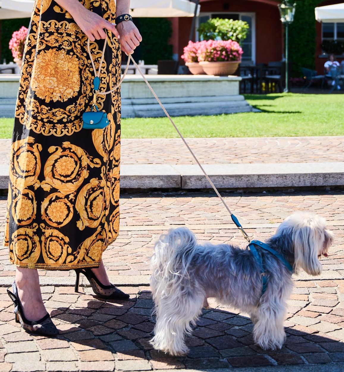 MAYADORO Signature Dog Collar Light Black - Luxury Pet Accessories