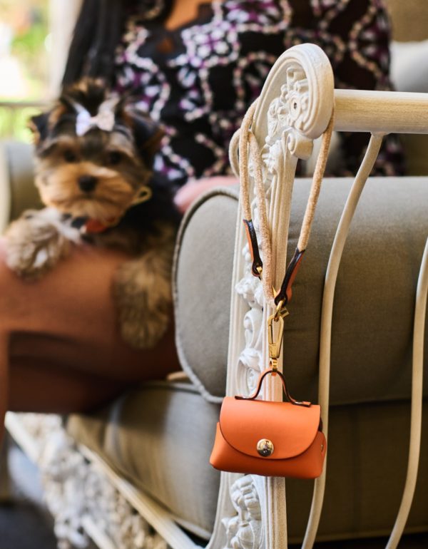 Yorkshire Terrier with MAYADORO Designer Dog Waste Holder in elegant Orange"