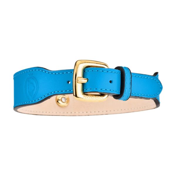 Back view of the MAYADORO Dog Collar in Turquoise